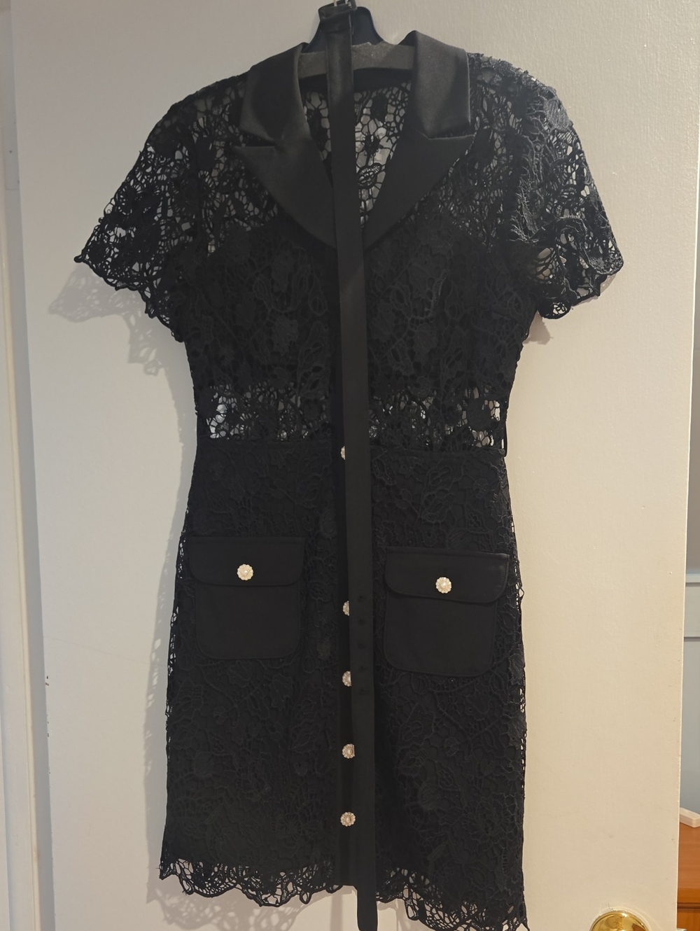 Fox Black Lace Short-Sleeve Button Dress with Satin Collar